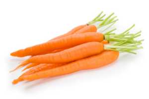 Propiedades de las Zanahorias para fortalecer la salud